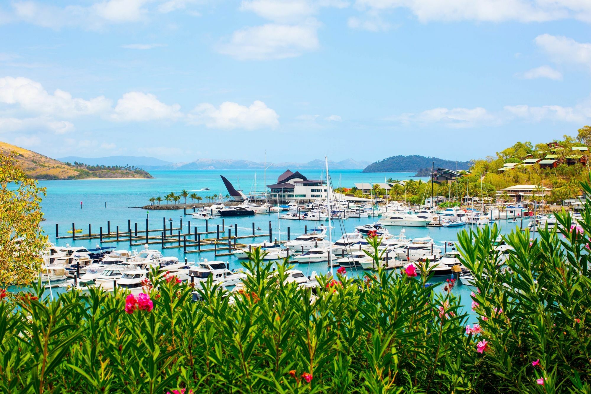 Palm Bungalows Hamilton Island Bagian luar foto