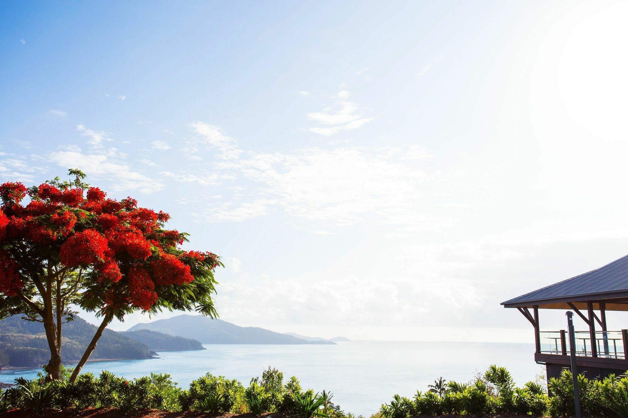 Palm Bungalows Hamilton Island Bagian luar foto