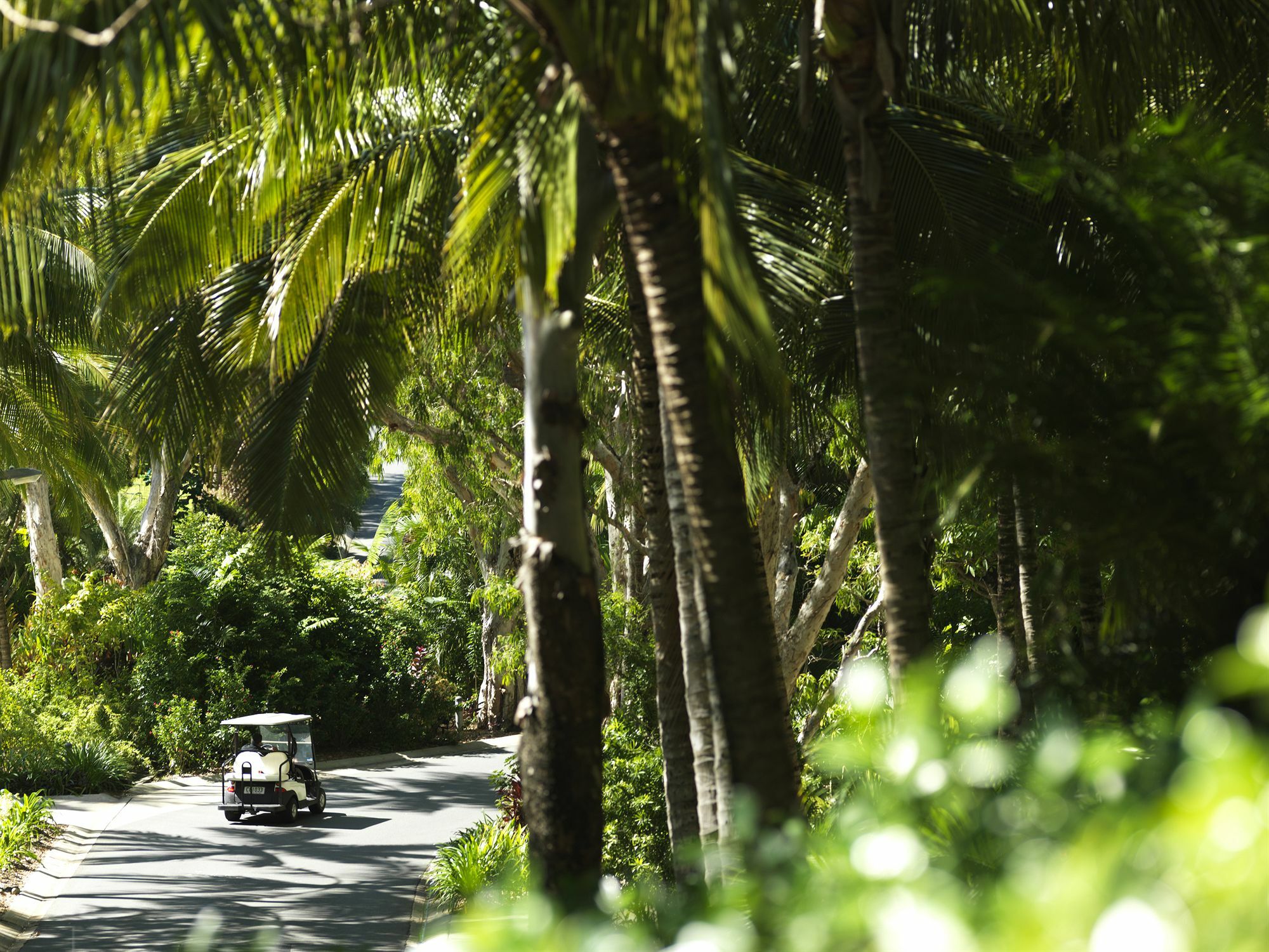 Palm Bungalows Hamilton Island Bagian luar foto